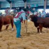 El campo pide bajar la presión fiscal y eliminar las retenciones que aún le quedan a la carne