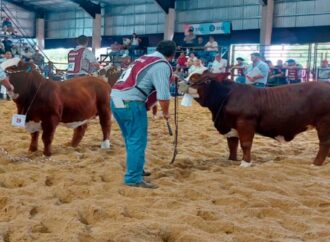 El campo pide bajar la presión fiscal y eliminar las retenciones que aún le quedan a la carne