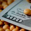 Trump estimula los biocombustibles y la soja cerró una semana con alza de precios en Chicago y en Argentina