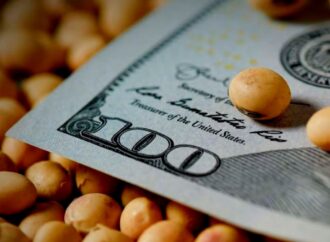 Trump estimula los biocombustibles y la soja cerró una semana con alza de precios en Chicago y en Argentina