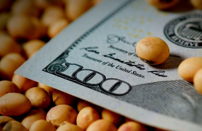 Trump estimula los biocombustibles y la soja cerró una semana con alza de precios en Chicago y en Argentina