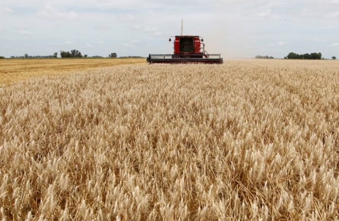 Pese al reclamo del campo, el Gobierno vuelve a subir las retenciones a la soja y al maíz