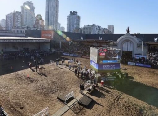 Lo que dejó la Expo Rural en números: más de 1,5 millones de visitantes, 2200 animales y 500 stands