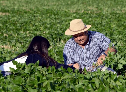Día de la Agricultura Nacional: un homenaje a los pioneros del campo y al primer tractor argentino