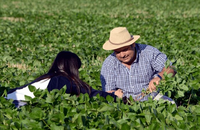 Día de la Agricultura Nacional: un homenaje a los pioneros del campo y al primer tractor argentino