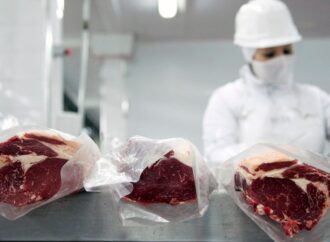 Exportaciones de carne: con 7 nuevos adjudicatarios, el Gobierno repartió la Cuota Hilton 2025/26
