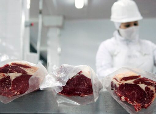 Exportaciones de carne: con 7 nuevos adjudicatarios, el Gobierno repartió la Cuota Hilton 2025/26