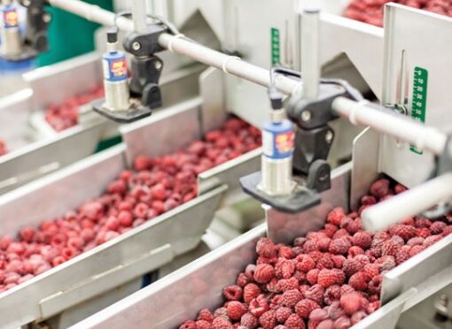 Ingenieros de la UNNE proponen producir frutas congeladas en Goya