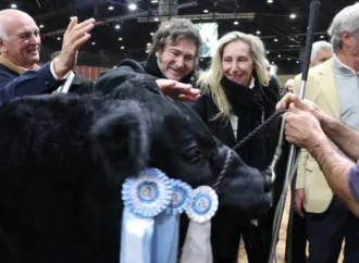 Javier Milei eliminaría las retenciones a la carne y prepara un gesto simbólico al campo en La Rural