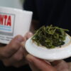 Un té verde elaborado por el INTA fue premiado como el mejor de Sudamérica, y el Instituto ya suma tres galardones