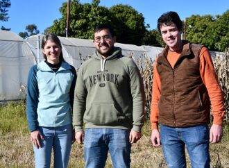 Maíz bajo la lupa: un estudiante de la UNNE estudia cómo mejorar su tolerancia al calor y la sequía