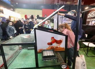 Los “gallineros móviles” sorprenden a los visitantes de la Expo Rural de Palermo