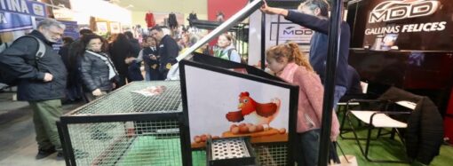 Nuevo caso de influenza en Entre Ríos en aves traspatio sin incidencia en la actual suspensión de exportaciones