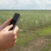Google sigue de cerca al campo argentino: por qué observa un “rearraigo” en zonas rurales