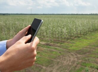 Google sigue de cerca al campo argentino: por qué observa un “rearraigo” en zonas rurales