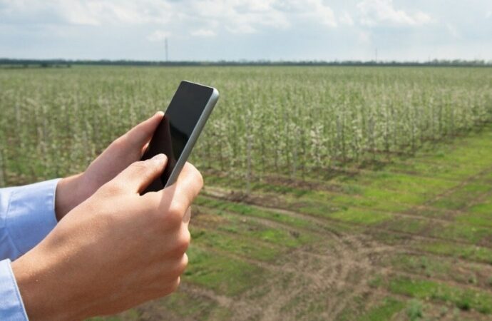 Google sigue de cerca al campo argentino: por qué observa un “rearraigo” en zonas rurales