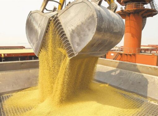 Alerta: el producto argentino más exportado está con sus valores históricos más bajos