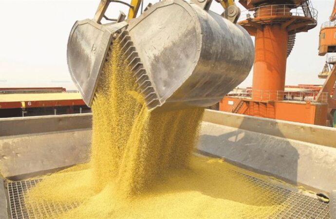 Alerta: el producto argentino más exportado está con sus valores históricos más bajos