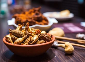 Con enfoque sustentable, Misiones proyecta el cultivo de hongos como motor productivo