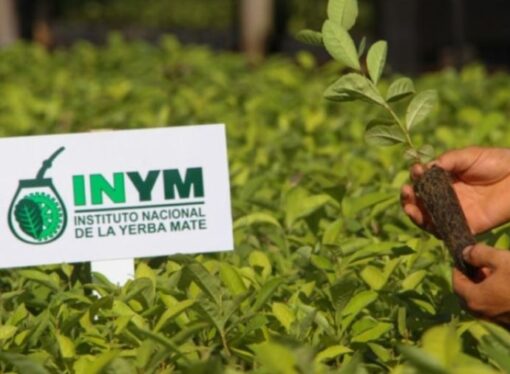 Instituto yerbatero rechaza fundamentos de proyecto para disolver su funcionamiento