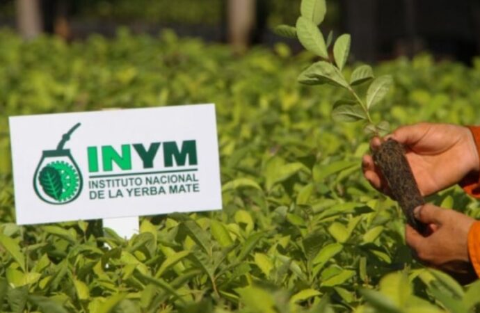 Instituto yerbatero rechaza fundamentos de proyecto para disolver su funcionamiento