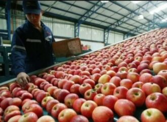 Frutas al borde del colapso piden auxilio