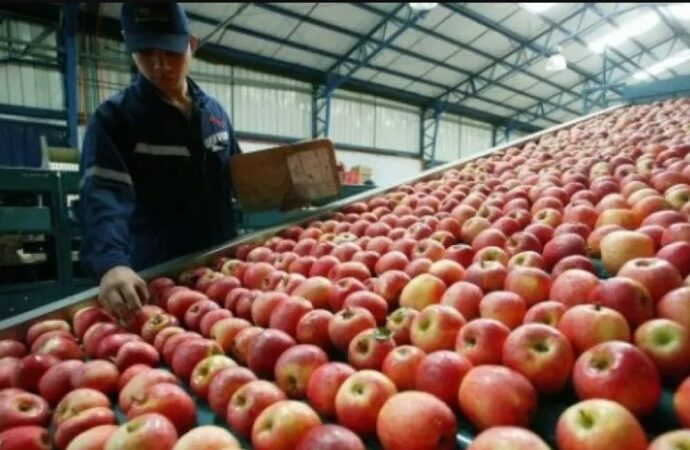 Frutas al borde del colapso piden auxilio