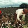 El peón rural cobrará $891.530 en agosto