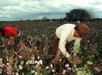 El peón rural cobrará $891.530 en agosto