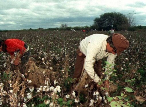 El peón rural cobrará $891.530 en agosto