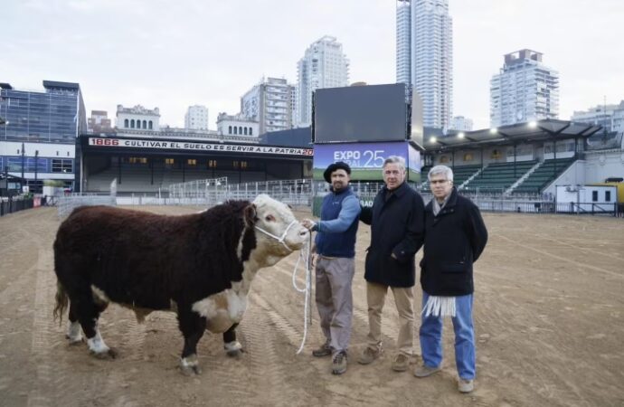 “Escocés”, un toro de 1000 kilos fue el primer animal en ingresar a la Expo Rural de Palermo