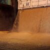 La soja volvió a subir, a la espera de que se reglamente la baja permanente de las retenciones