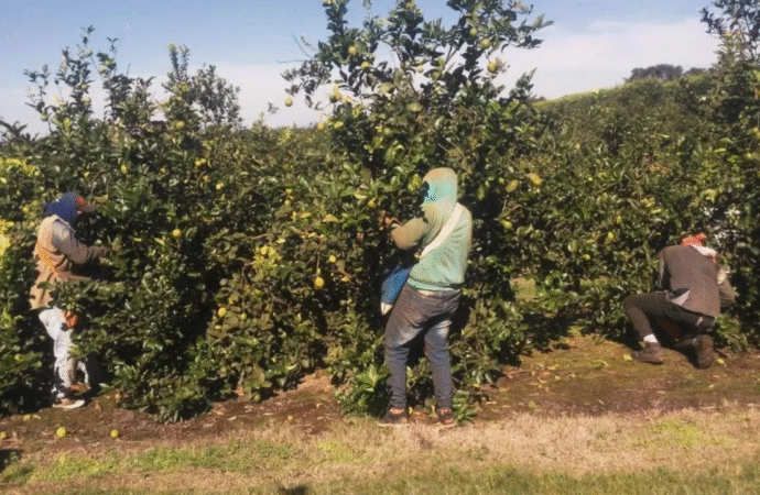 Piden extender el régimen que permite combinar trabajo registrado y asistencia estatal