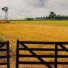 Cultivar la tierra en Argentina, un negocio de “terceros”: el 70% se hace en campos alquilados