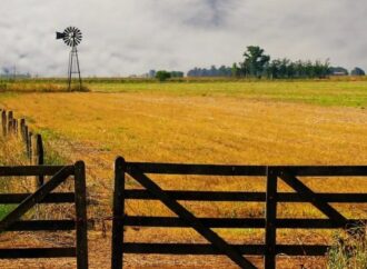 Cultivar la tierra en Argentina, un negocio de “terceros”: el 70% se hace en campos alquilados