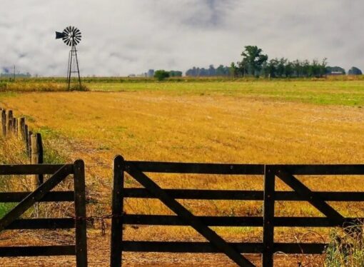 Cultivar la tierra en Argentina, un negocio de “terceros”: el 70% se hace en campos alquilados