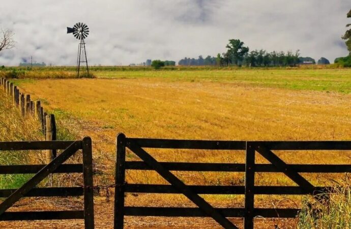 Cultivar la tierra en Argentina, un negocio de “terceros”: el 70% se hace en campos alquilados