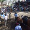 Con lo mejor de la ganadería regional comienza la 89° Exposición Rural de Corrientes