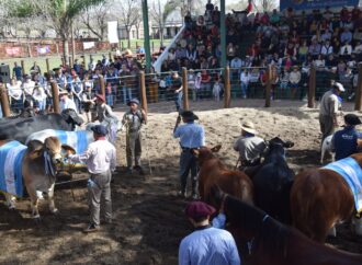 Con lo mejor de la ganadería regional comienza la 89° Exposición Rural de Corrientes
