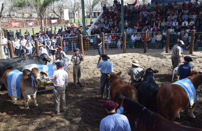 Con lo mejor de la ganadería regional comienza la 89° Exposición Rural de Corrientes