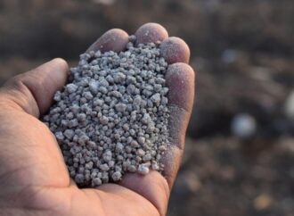Fertilizantes: con importaciones en altos niveles, estiman que la demanda repuntará 7% en 2025
