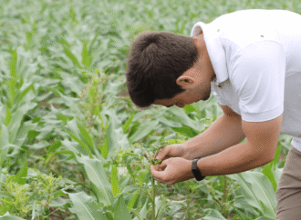 Argentina celebra el Día del Ingeniero Agrónomo y del Veterinario: 142 años de enseñanza agropecuaria