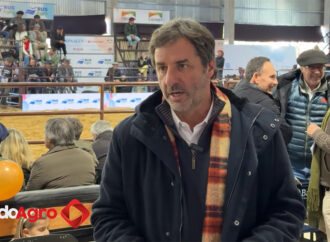 agosto 13, 2025GanaderíaMauricio Groppo de Brangus: “Hay una reactivación del sector”