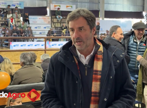 agosto 13, 2025GanaderíaMauricio Groppo de Brangus: “Hay una reactivación del sector”