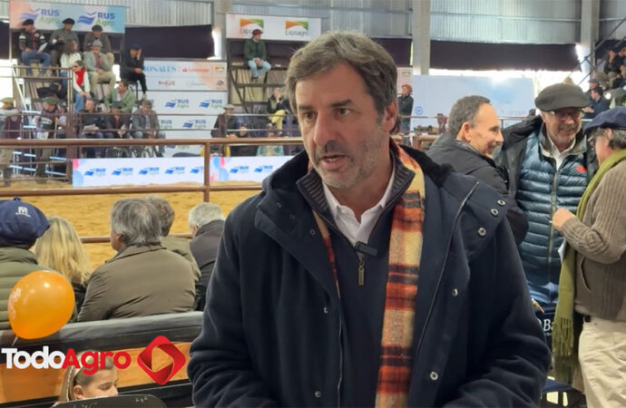 agosto 13, 2025GanaderíaMauricio Groppo de Brangus: “Hay una reactivación del sector”