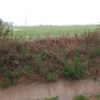 Lluvias intensas en el campo complican al litoral y la región pampeana