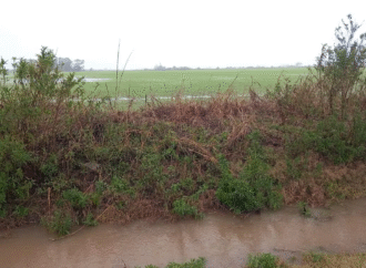 Lluvias intensas en el campo complican al litoral y la región pampeana