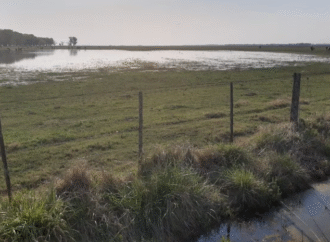 El campo argentino anticipa una primavera irregular tras la Tormenta de Santa Rosa