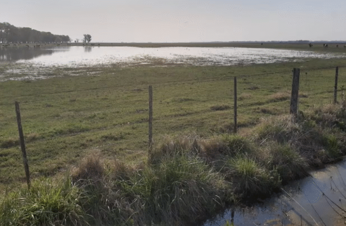 El campo argentino anticipa una primavera irregular tras la Tormenta de Santa Rosa