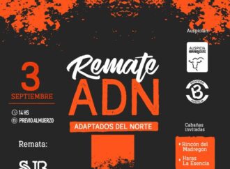 Se viene el remate ganadero de Adaptados del Norte, con Brangus, Braford, equinos y búfalos entre las ofertas